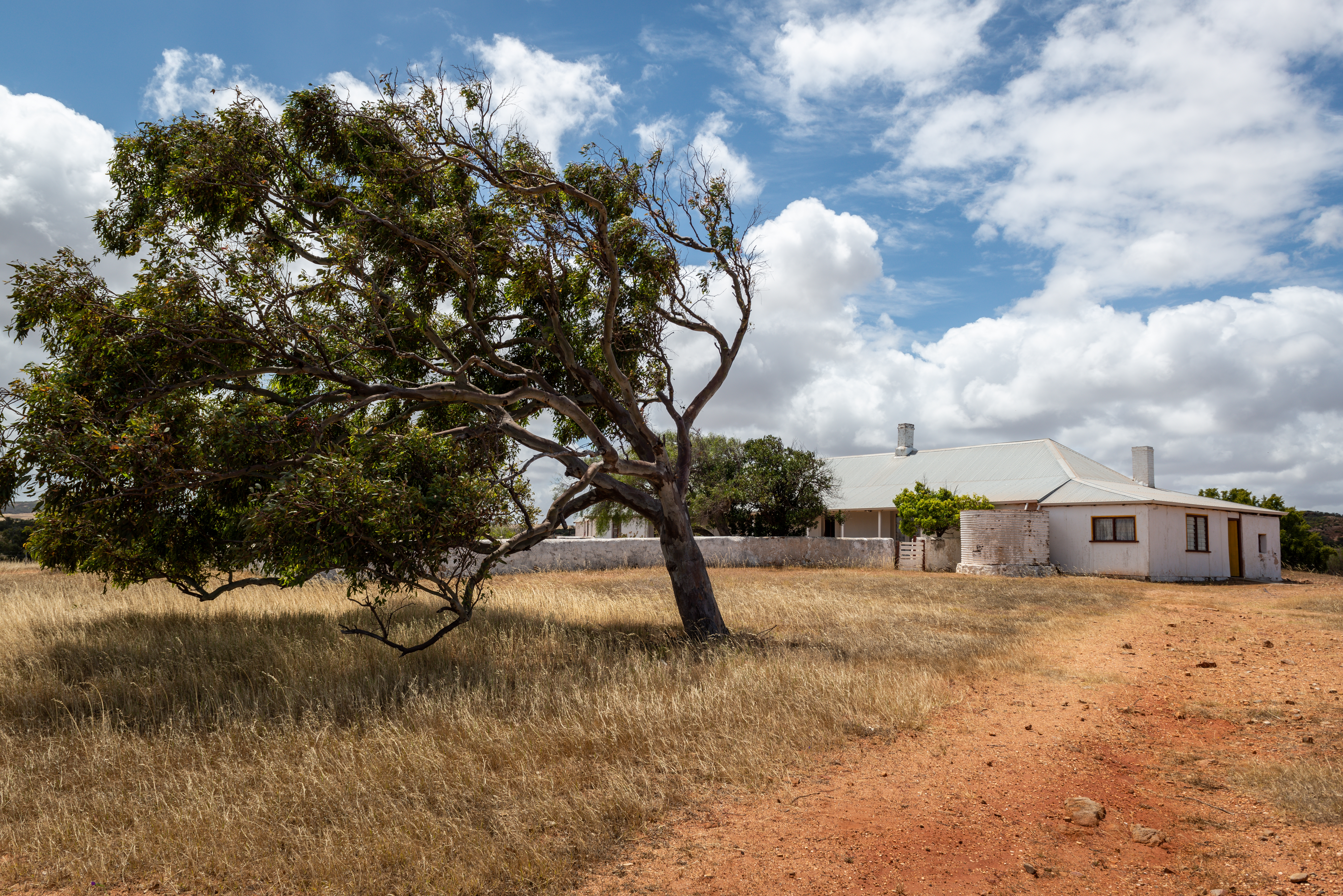 Rural roadside scene near a house