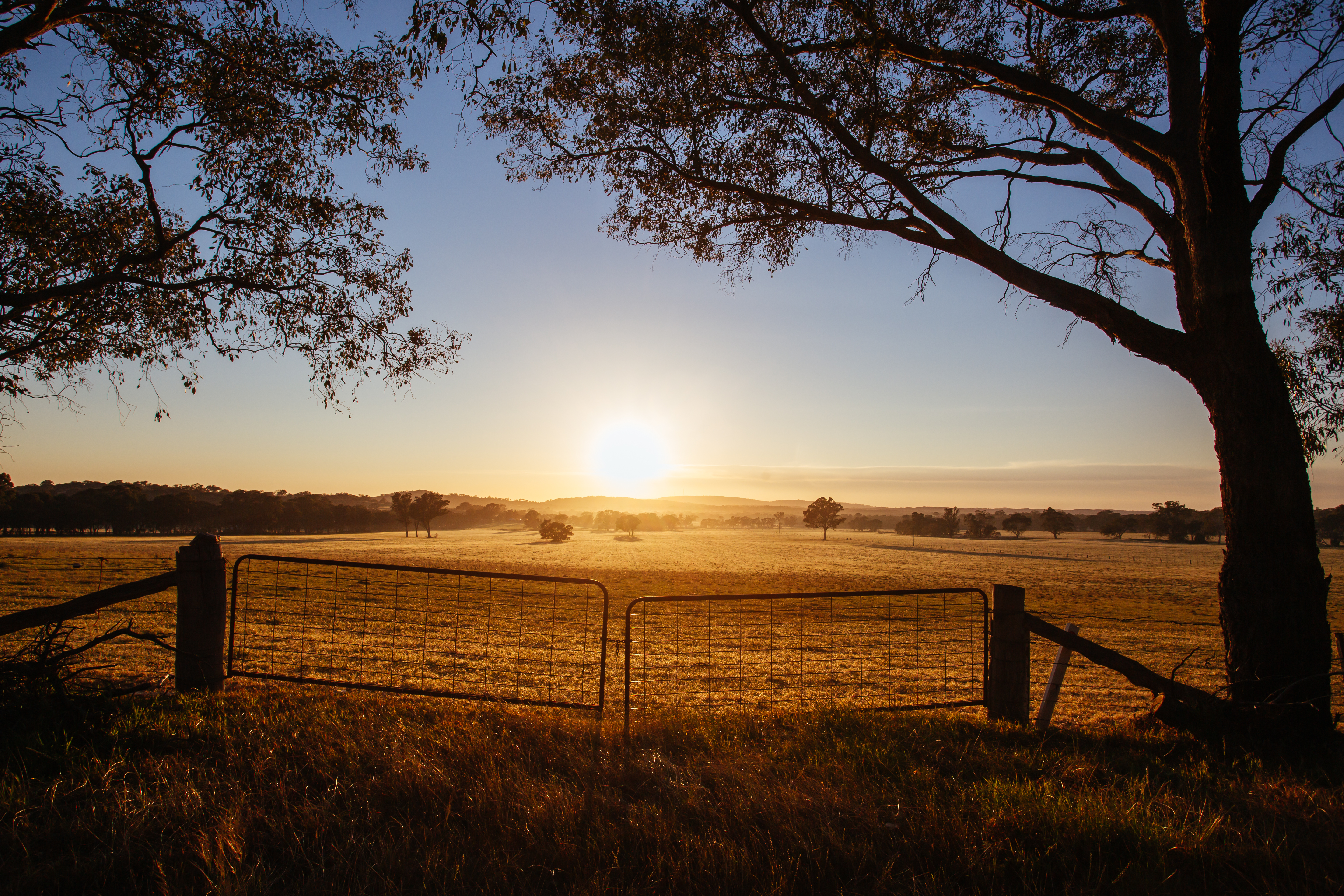 Australian country road at sunset