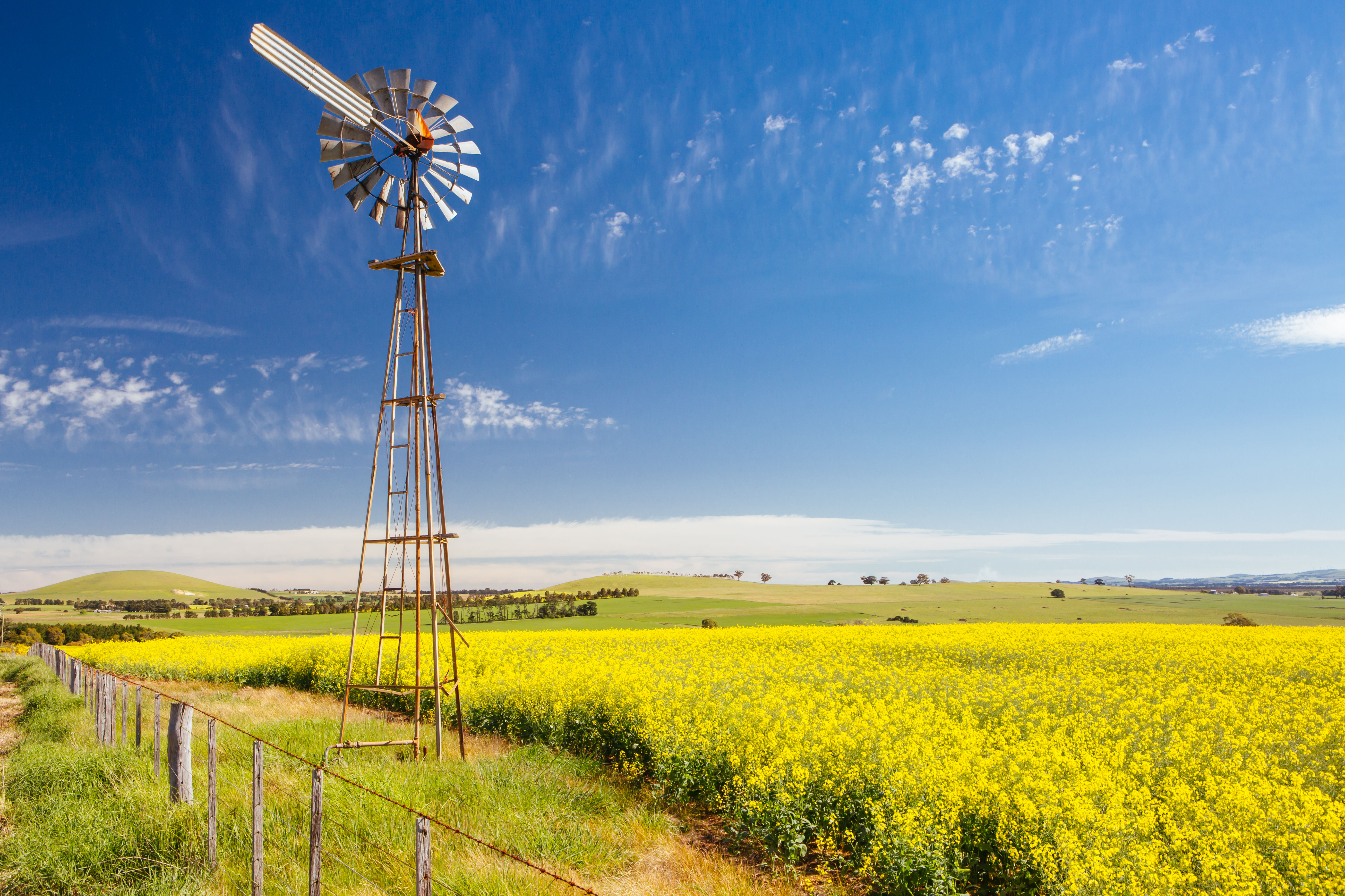 Fields in regional Victoria