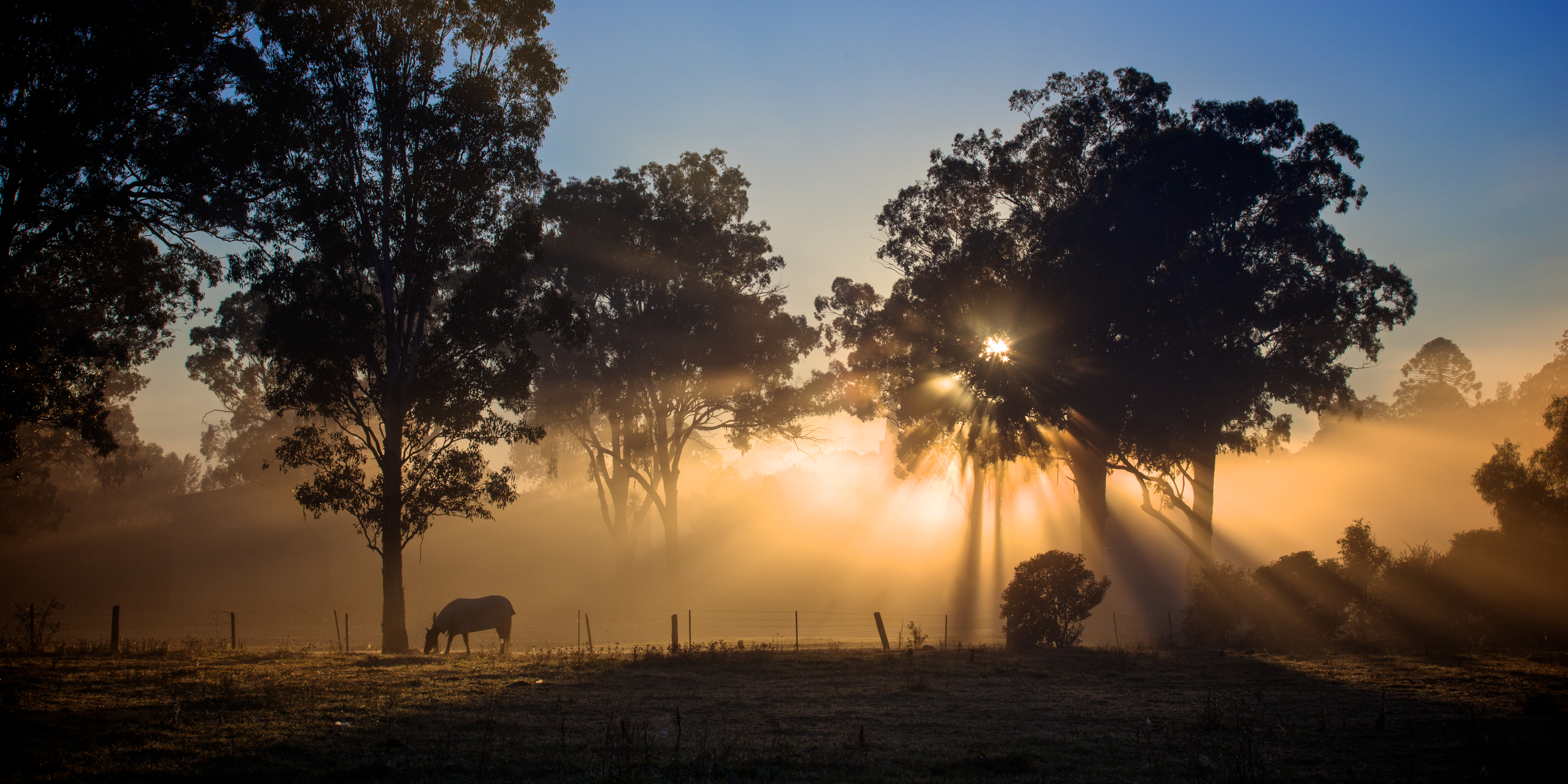 Foggy regional landscape