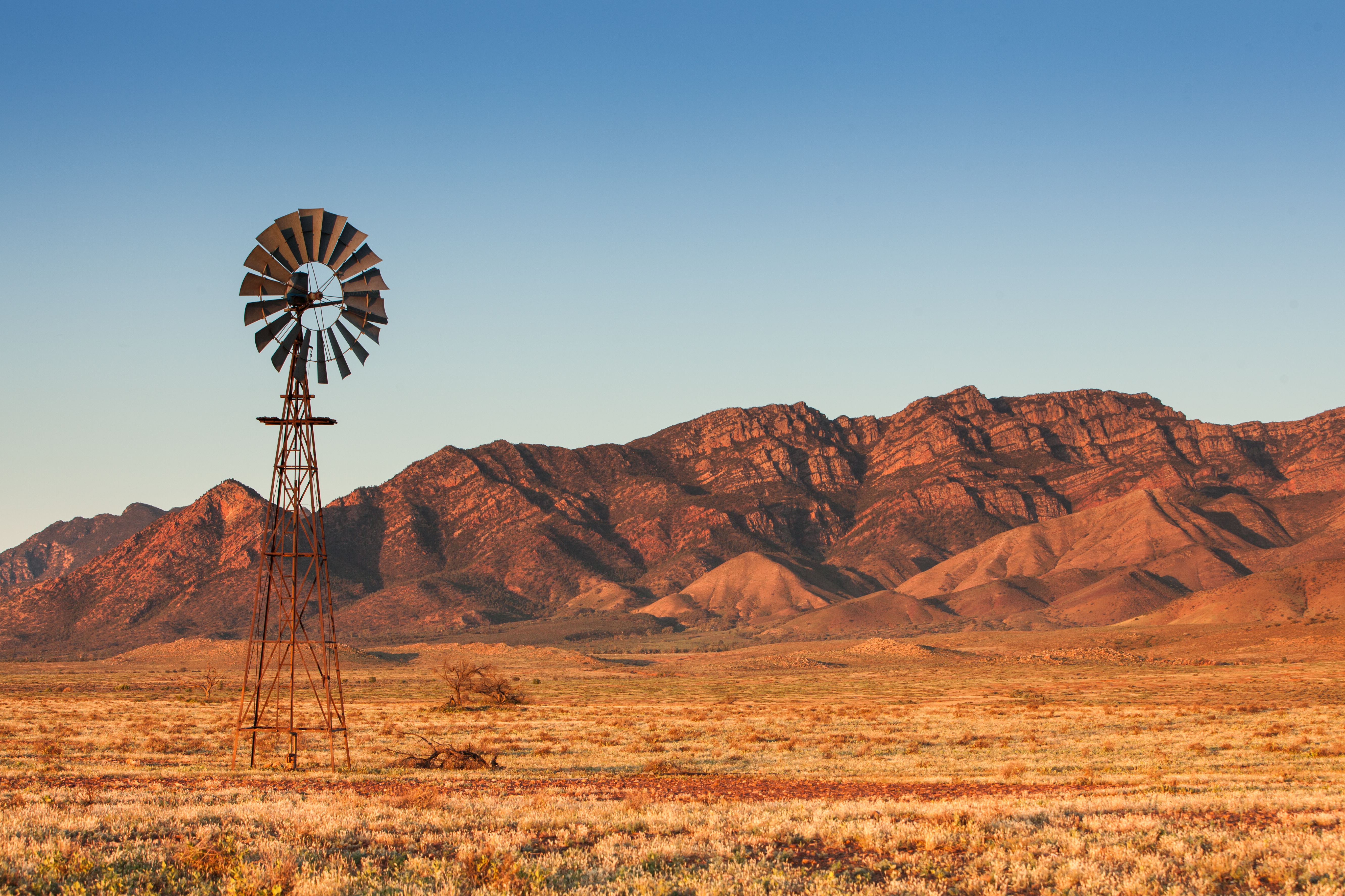 Rural windmill landscape