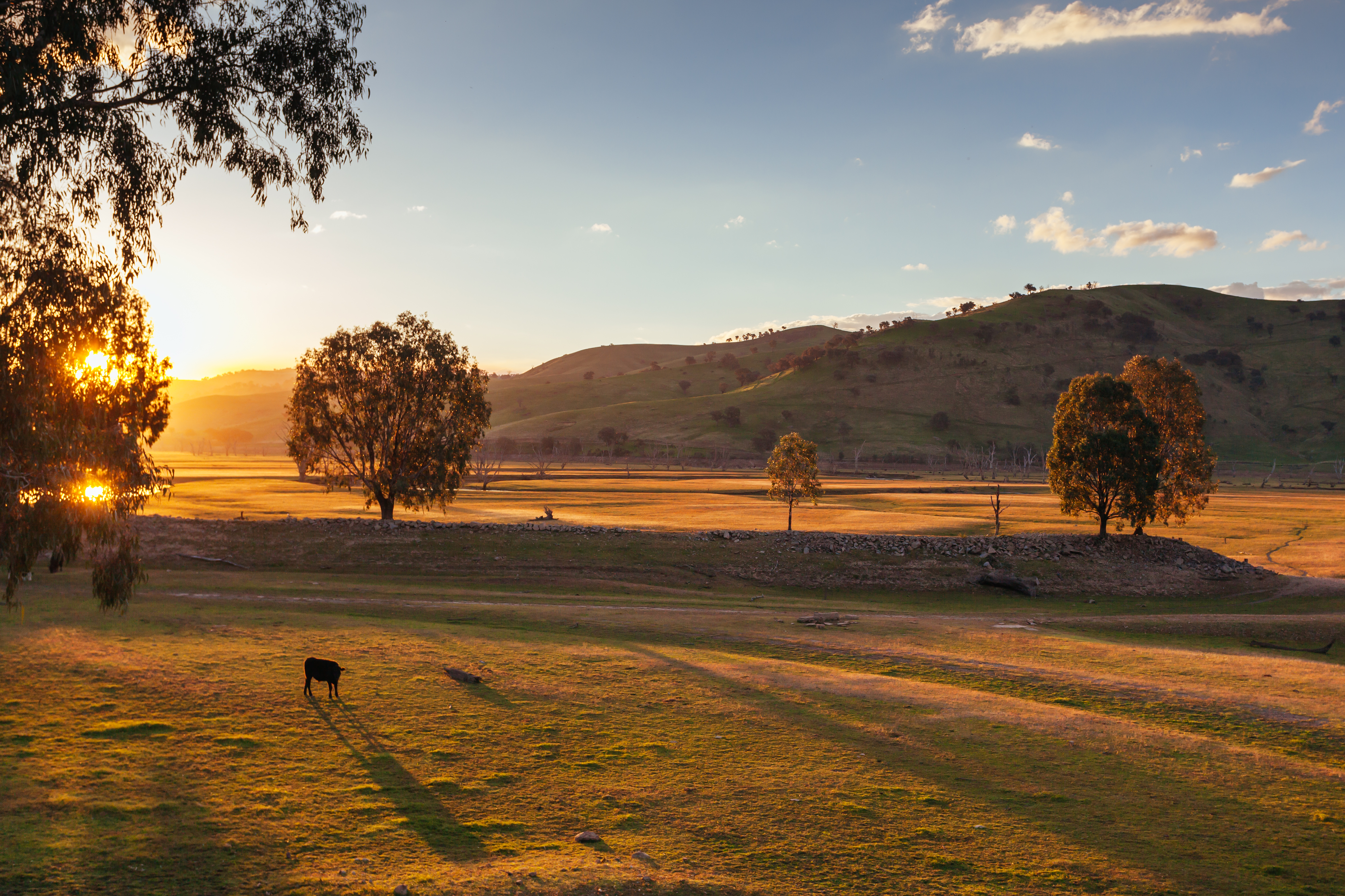 Rural Australian valley lookout