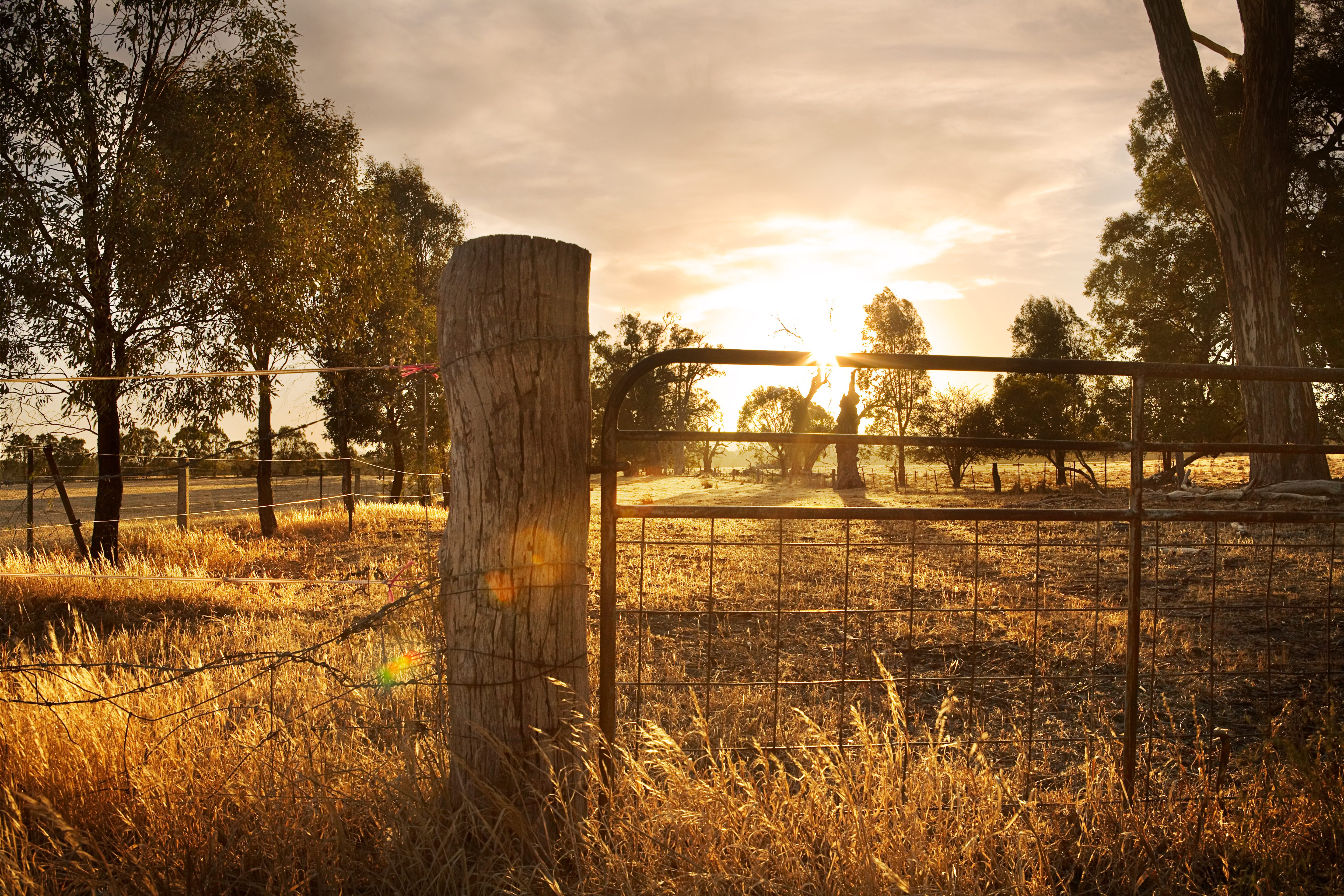 Sunset on an Australian farm